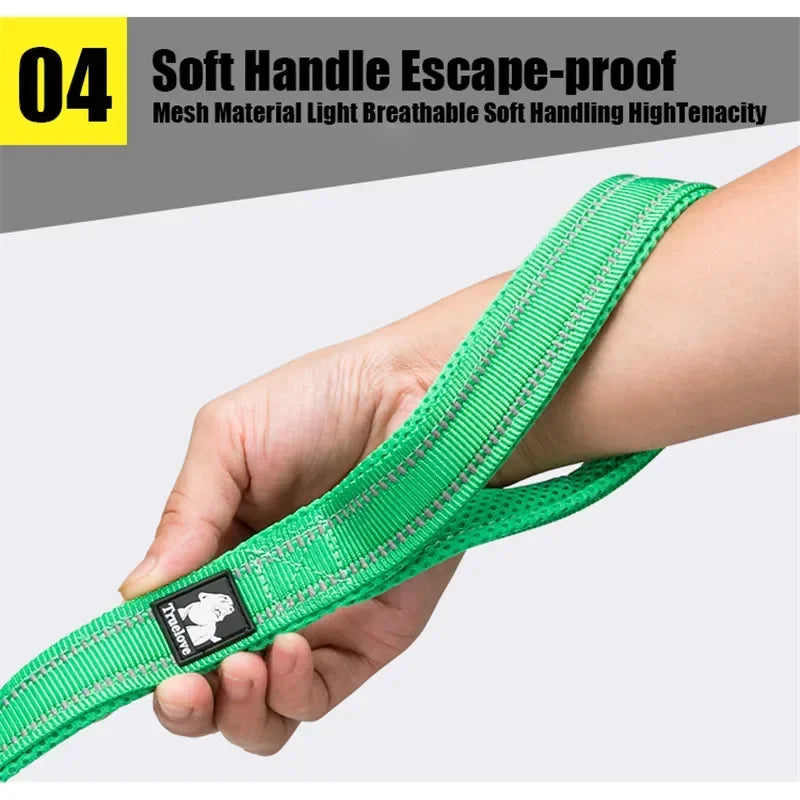 Soft Pet Leash Reflective Nylon Mesh Padded Puppy Large Dog or Cat Walking Training 11 Color 200Cm TLL2112 Dropshipping