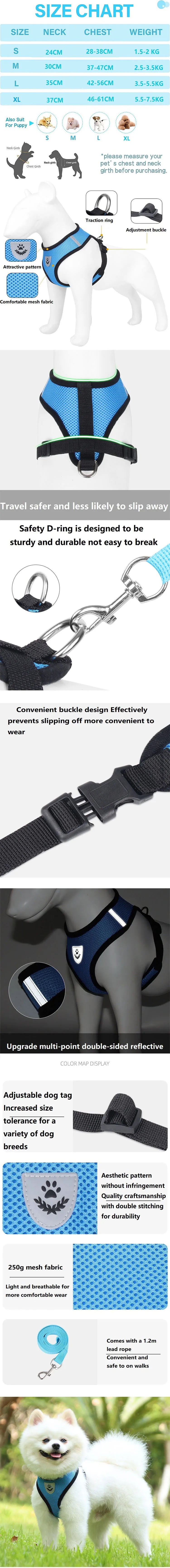 Cat Harness & Leash Set — Anti-Escape Vest with Tent | Adjustable for Cats & Small Dogs