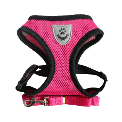 Cat Harness & Leash Set — Anti-Escape Vest with Tent | Adjustable for Cats & Small Dogs