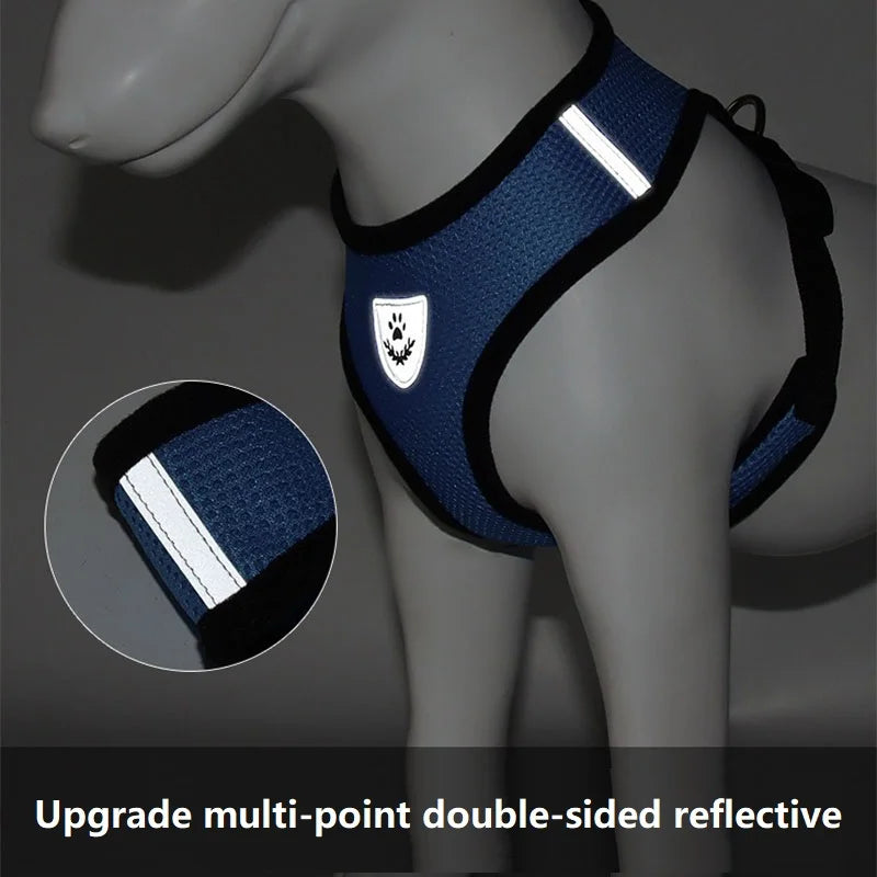 Cat Harness & Leash Set — Anti-Escape Vest with Tent | Adjustable for Cats & Small Dogs