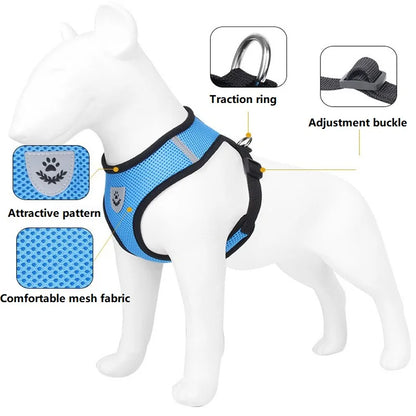 Cat Harness & Leash Set — Anti-Escape Vest with Tent | Adjustable for Cats & Small Dogs